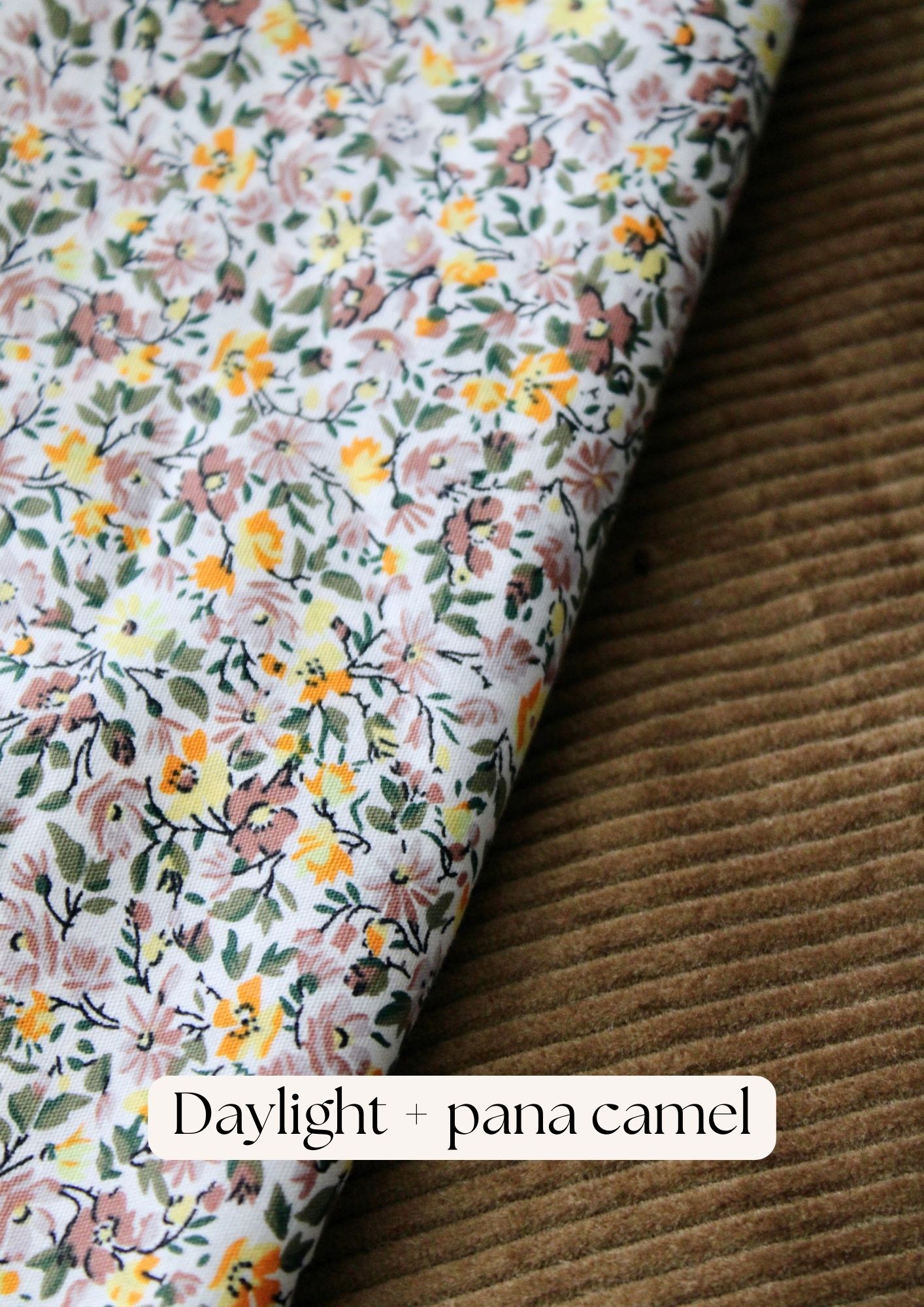 Daylight + pana camel